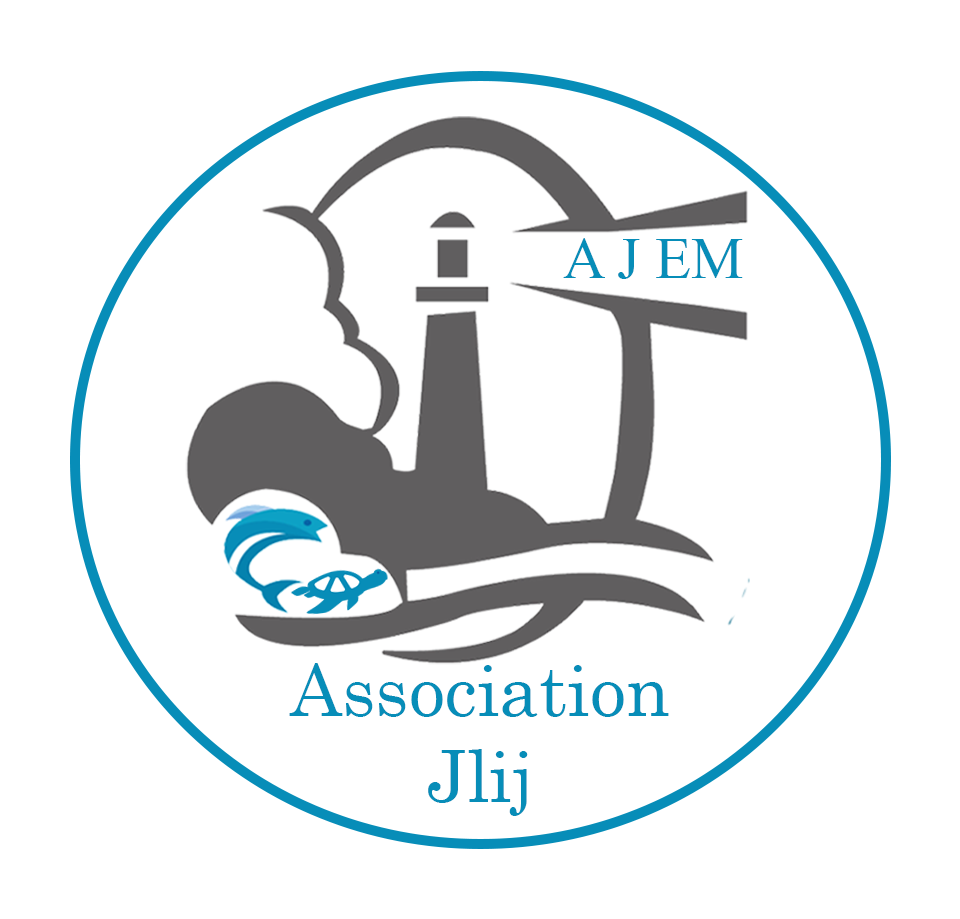 AJEM Logo