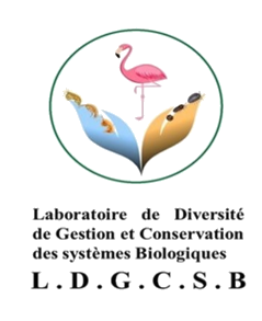 Labo FST Logo