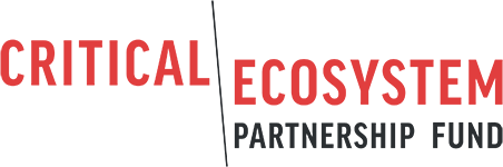 CEPF Logo