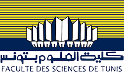 FST Logo